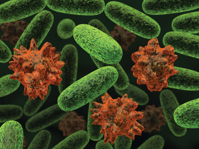 Probiotics & Their Multifold Benefits