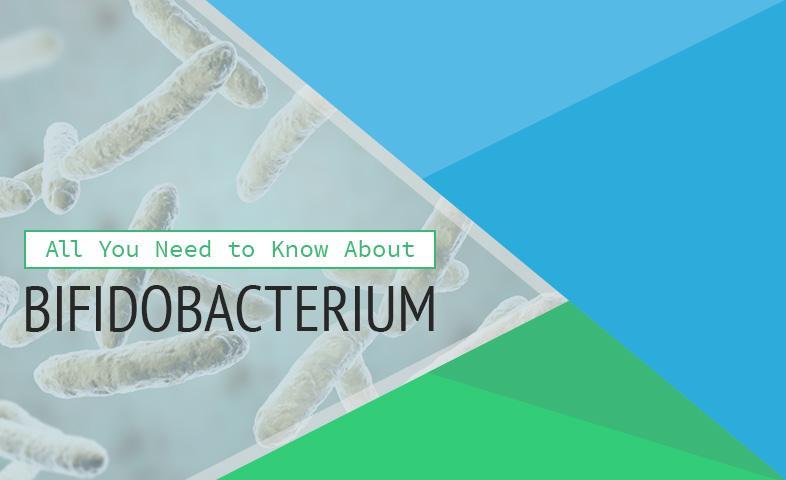 All You Need to Know About Bifidobacterium