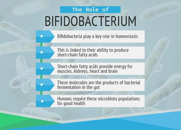 Bifidobacterium Breve, 40% OFF