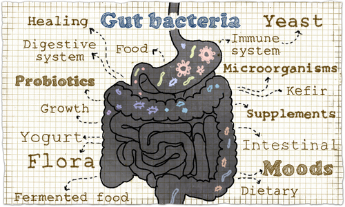 Probiotics illustration