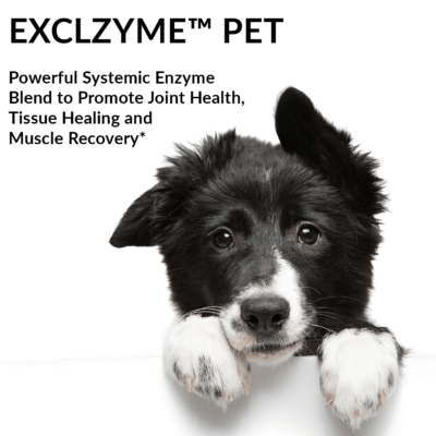 Exclzyme Pet