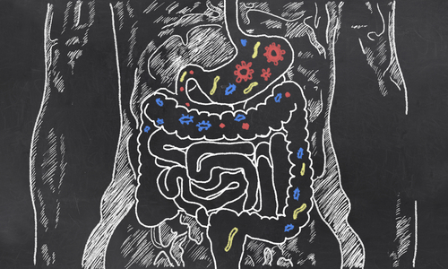 Effective Probiotics: Guide to Assessing Probiotic Ingredients