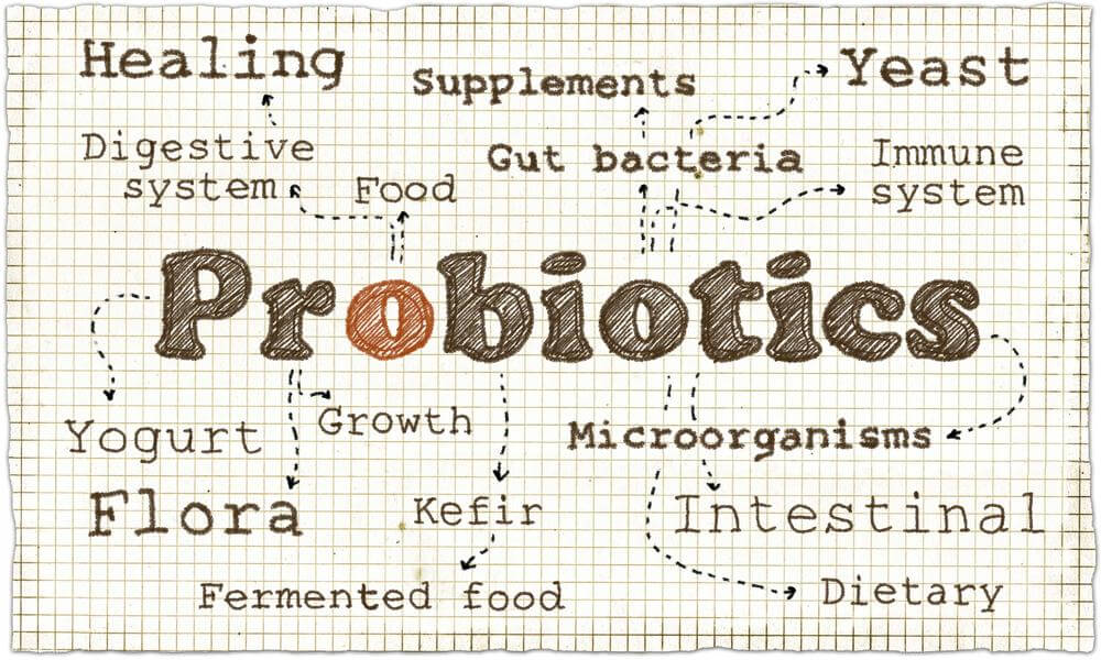 Probiotics blueprint