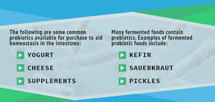 probiotics types