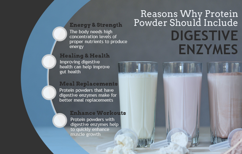 protein powders include digestive enzymes graphic