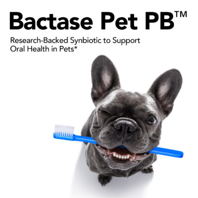 Bactase Pet-PB-webpic copy 1