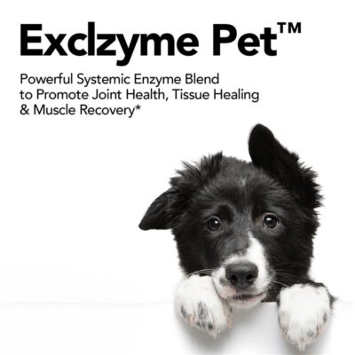 Exclzyme Pet-2024 2