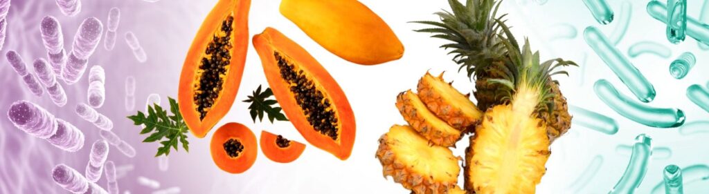 Biotics Are Better with Enzymes