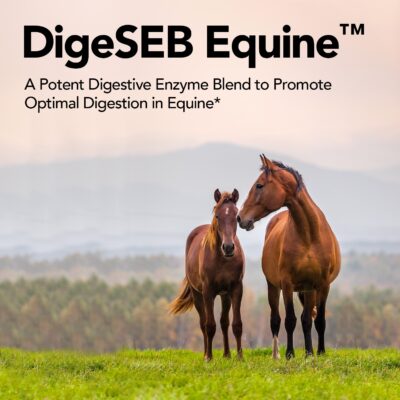 degiseb-equine-tm